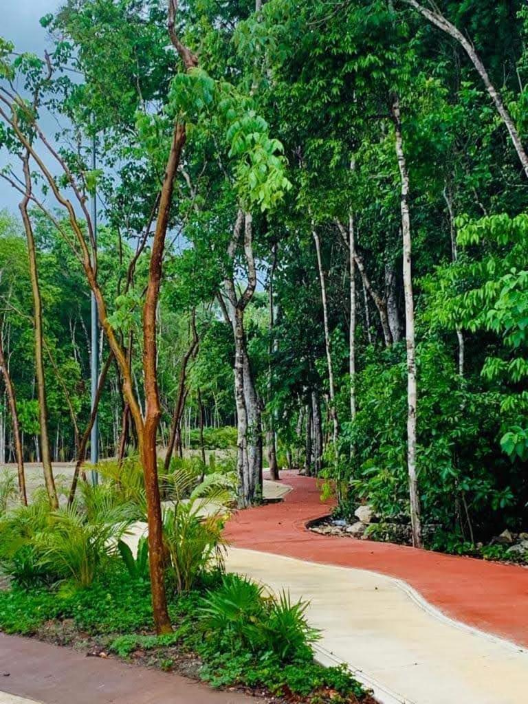 Casa Ruisu 2 Plantas Amueblada Alberca En Mayakoba Seguridad Bien Ubicada Jardines Senderos Comercios * Playa del Carmen